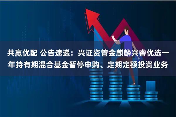 共赢优配 公告速递：兴证资管金麒麟兴睿优选一年持有期混合基金暂停申购、定期定额投资业务