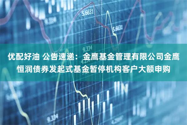优配好油 公告速递：金鹰基金管理有限公司金鹰恒润债券发起式基金暂停机构客户大额申购