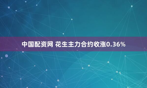 中国配资网 花生主力合约收涨0.36%