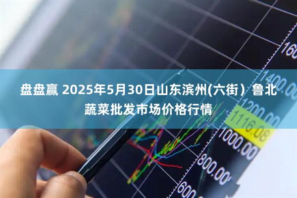 盘盘赢 2025年5月30日山东滨州(六街）鲁北蔬菜批发市场价格行情