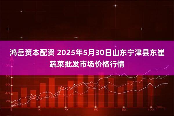 鸿岳资本配资 2025年5月30日山东宁津县东崔蔬菜批发市场价格行情