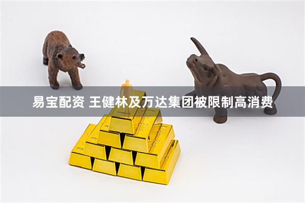 易宝配资 王健林及万达集团被限制高消费